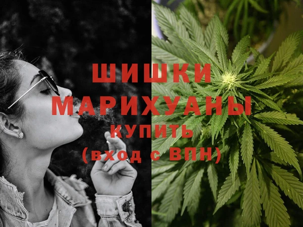 каннабис Аркадак
