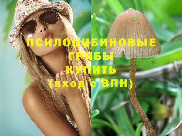 а пвп мука Новозыбков