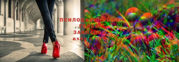 мет Арсеньев