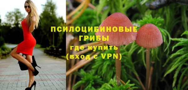 мет Арсеньев