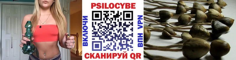 Галлюциногенные грибы Cubensis Светлогорск