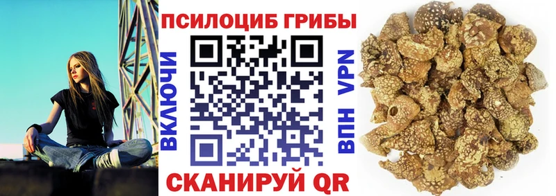 Галлюциногенные грибы мицелий  даркнет сайт  МЕГА сайт  Светлогорск 