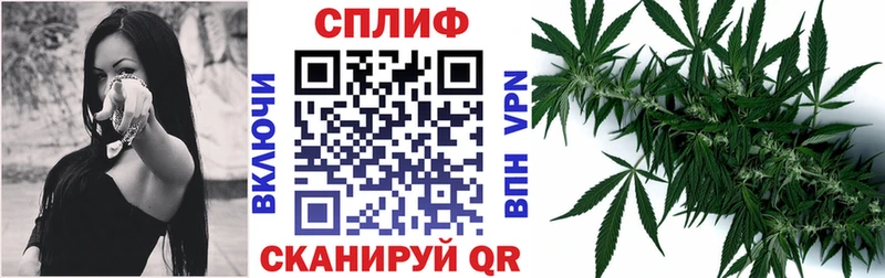 Бошки марихуана конопля  продажа наркотиков  Светлогорск 